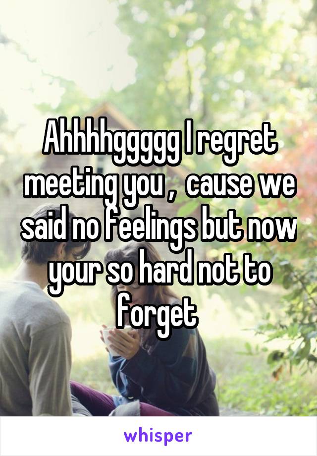 Ahhhhggggg I regret meeting you ,  cause we said no feelings but now your so hard not to forget 