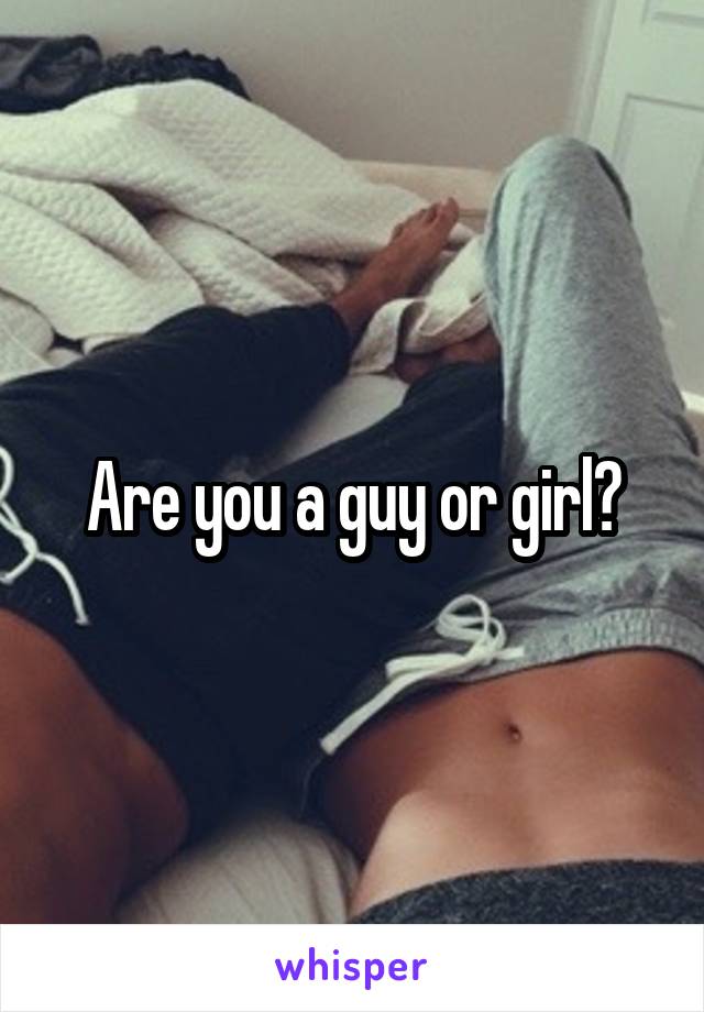 Are you a guy or girl?