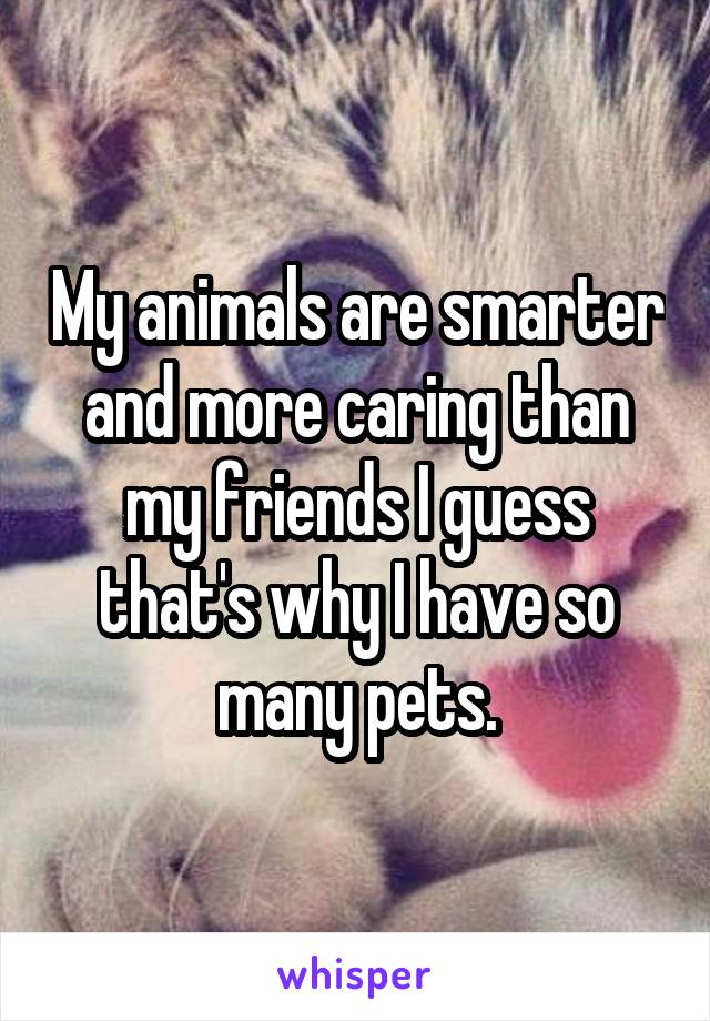 My animals are smarter and more caring than my friends I guess that's why I have so many pets.