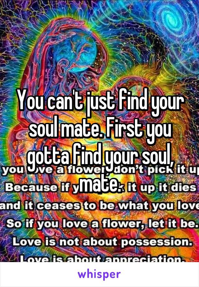 You can't just find your soul mate. First you gotta find your soul, mate.