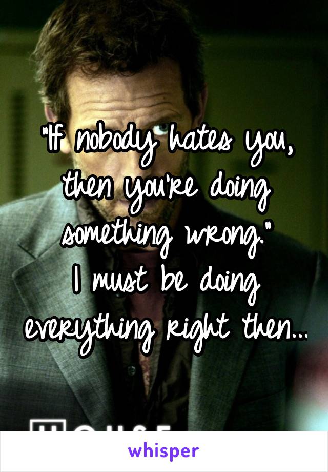 "If nobody hates you, then you're doing something wrong."
I must be doing everything right then...