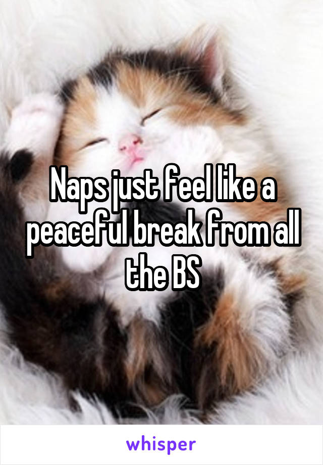 Naps just feel like a peaceful break from all the BS