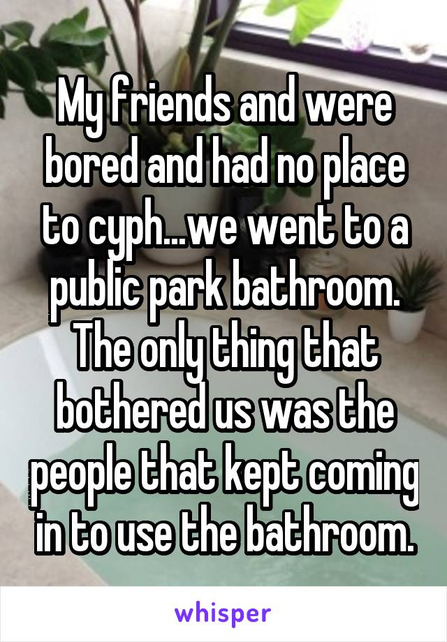 My friends and were bored and had no place to cyph...we went to a public park bathroom. The only thing that bothered us was the people that kept coming in to use the bathroom.