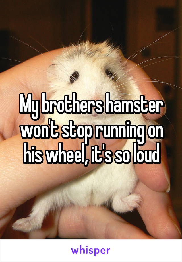 My brothers hamster won't stop running on his wheel, it's so loud