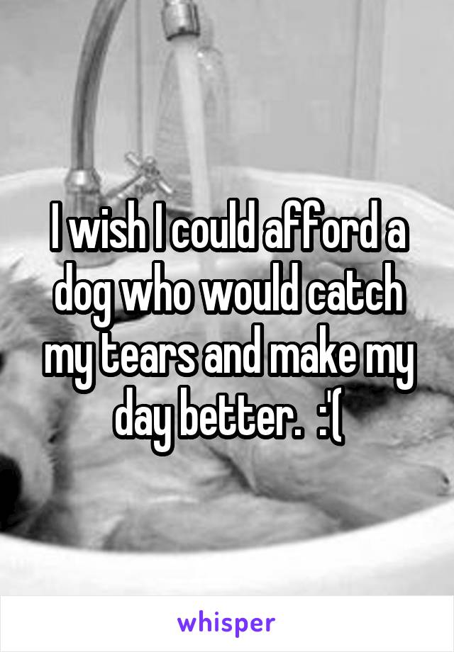 I wish I could afford a dog who would catch my tears and make my day better.  :'(