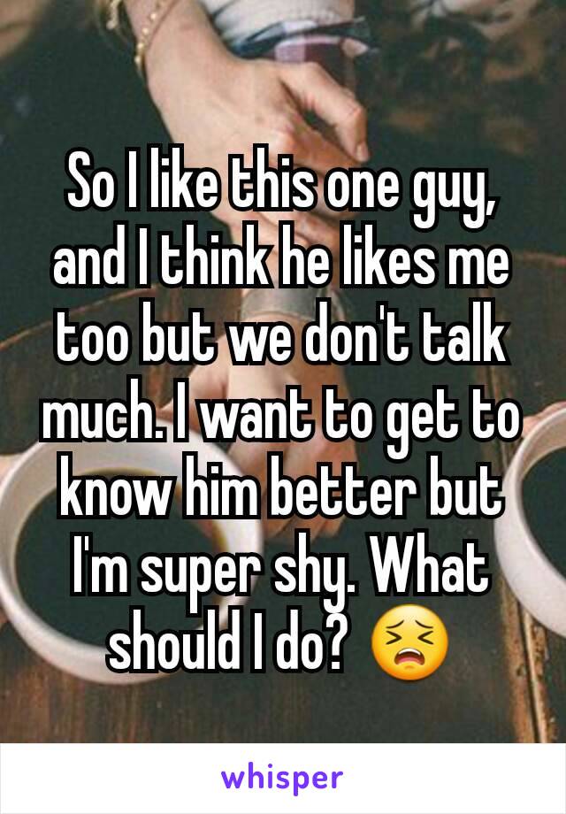 So I like this one guy, and I think he likes me too but we don't talk much. I want to get to know him better but I'm super shy. What should I do? 😣