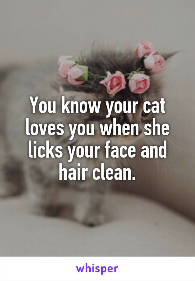 You know your cat loves you when she licks your face and hair clean.