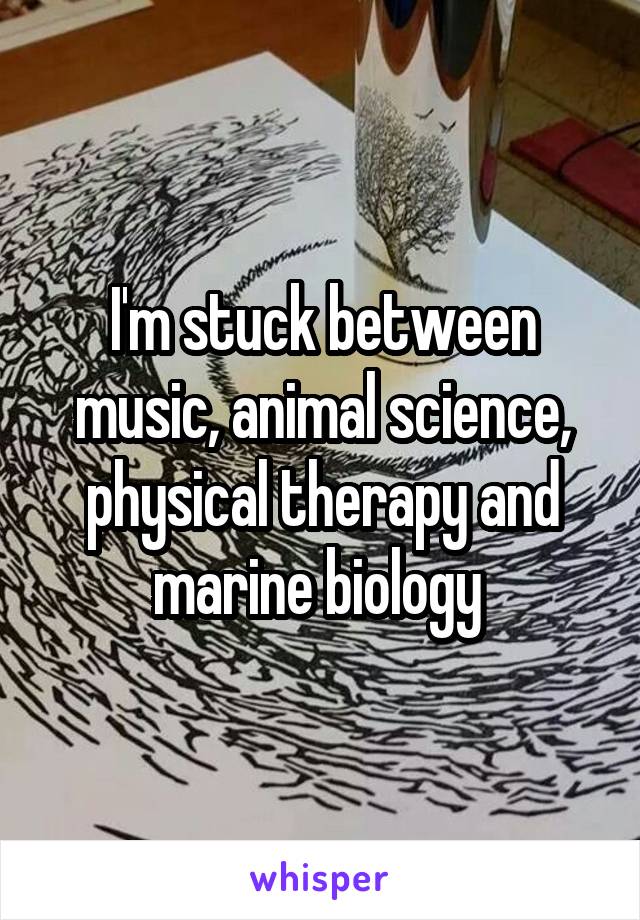 I'm stuck between music, animal science, physical therapy and marine biology 