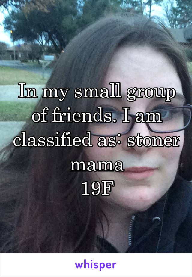 In my small group of friends. I am classified as: stoner mama
19F