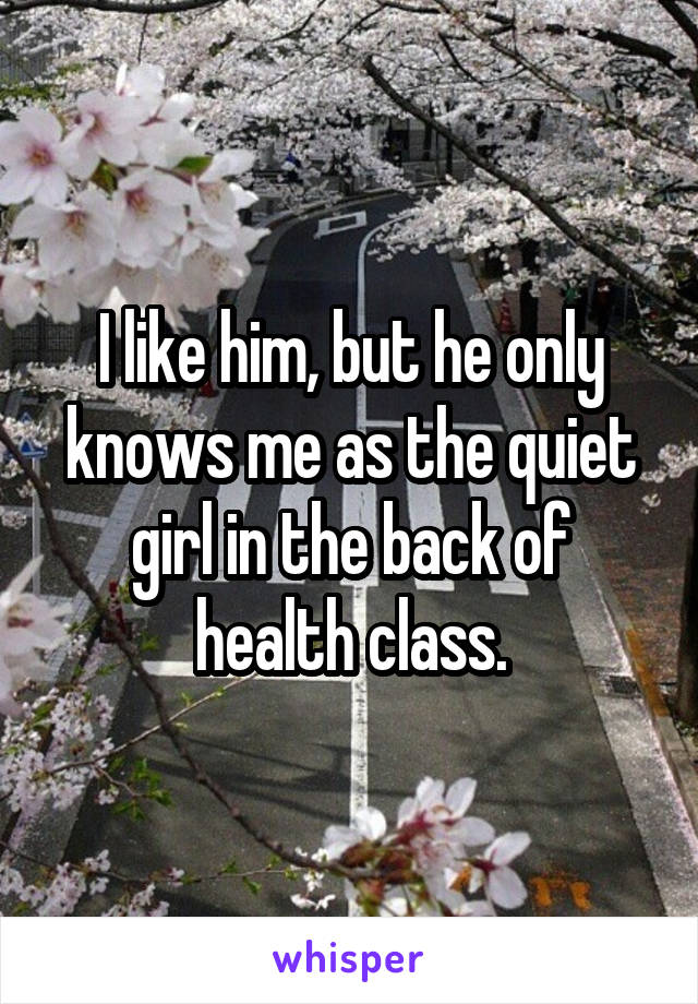 I like him, but he only knows me as the quiet girl in the back of health class.