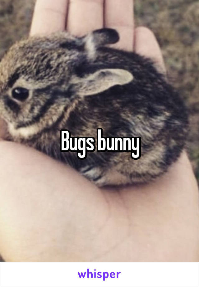 Bugs bunny