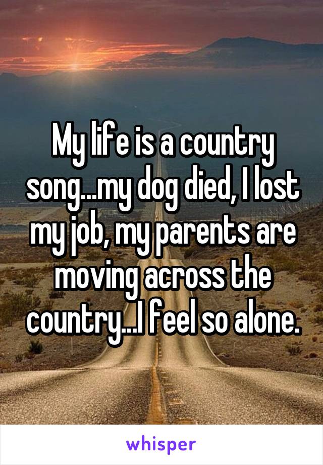 My life is a country song...my dog died, I lost my job, my parents are moving across the country...I feel so alone.