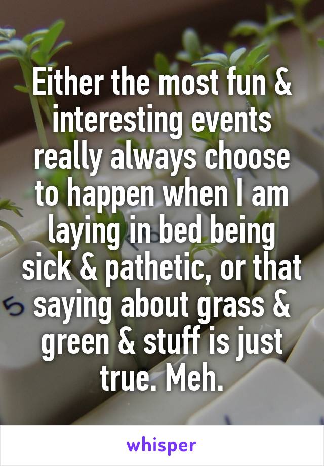 Either the most fun & interesting events really always choose to happen when I am laying in bed being sick & pathetic, or that saying about grass & green & stuff is just true. Meh.