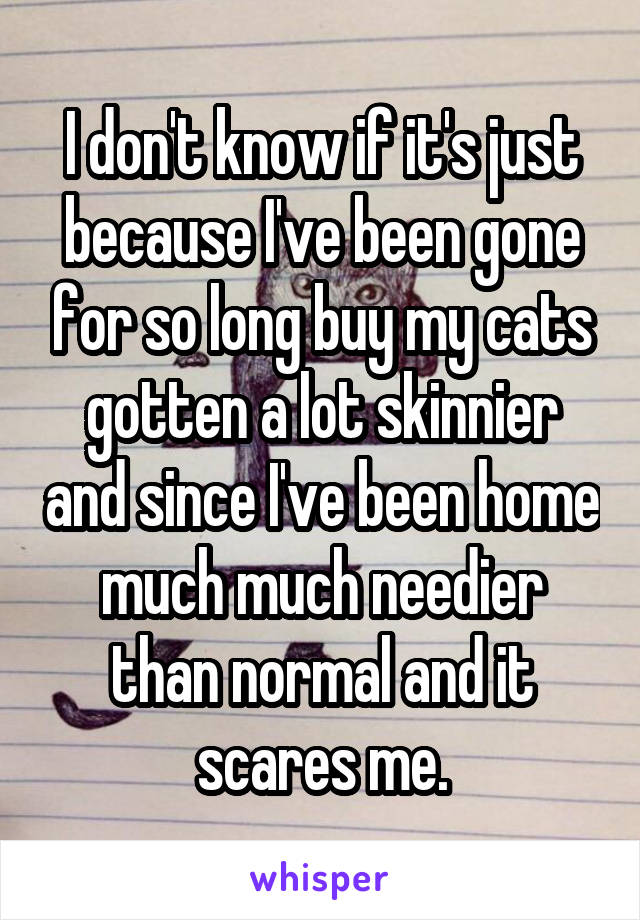 I don't know if it's just because I've been gone for so long buy my cats gotten a lot skinnier and since I've been home much much needier than normal and it scares me.