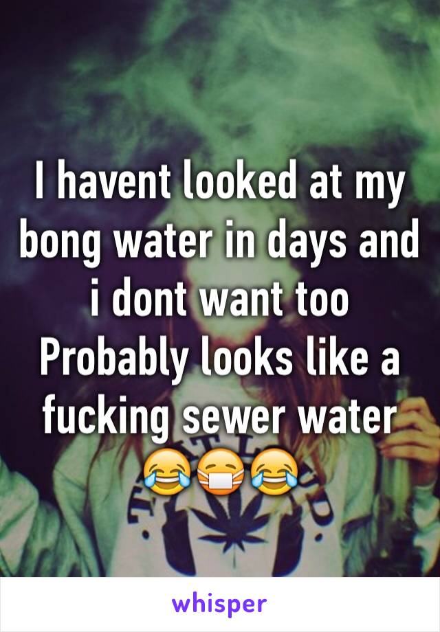 I havent looked at my bong water in days and i dont want too 
Probably looks like a fucking sewer water 😂😷😂