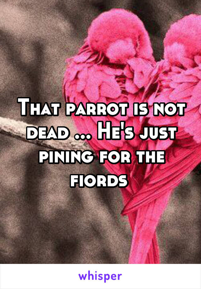 That parrot is not dead ... He's just pining for the fiords 