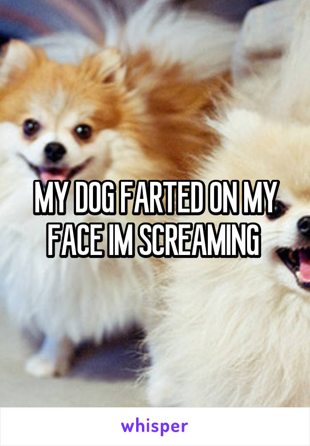 MY DOG FARTED ON MY FACE IM SCREAMING 