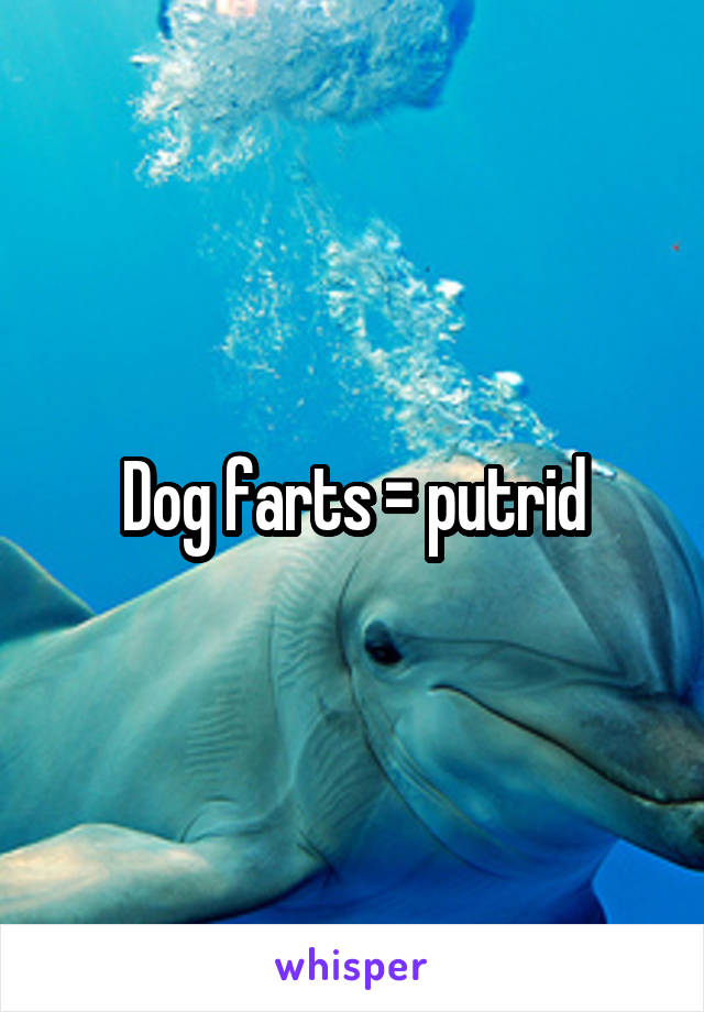 Dog farts = putrid