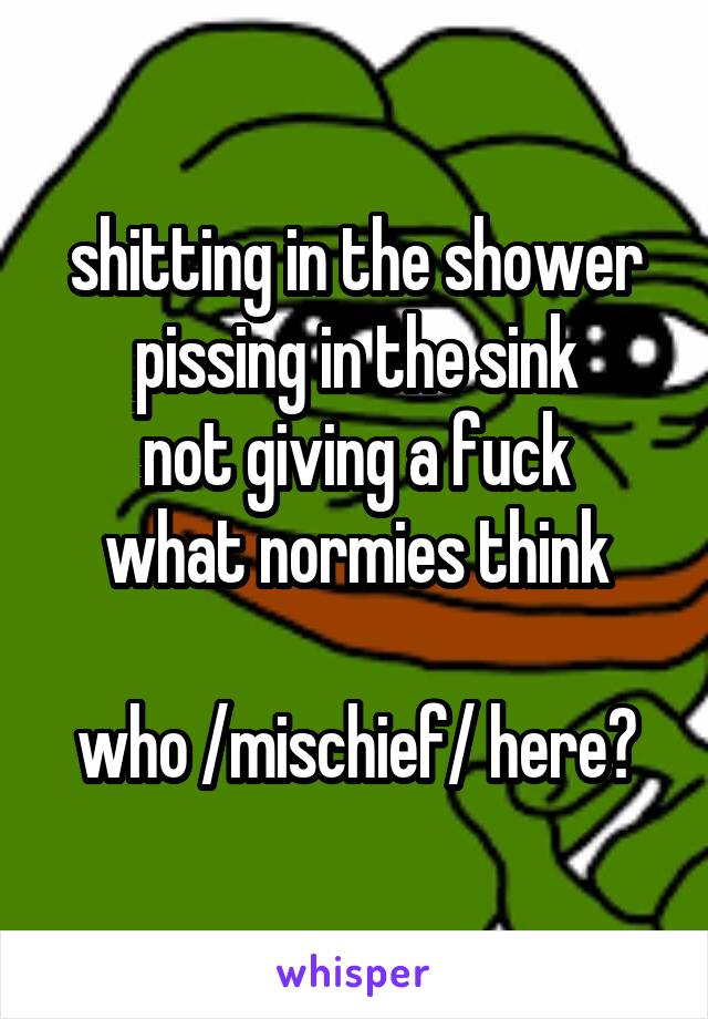 shitting in the shower
pissing in the sink
not giving a fuck
what normies think

who /mischief/ here?