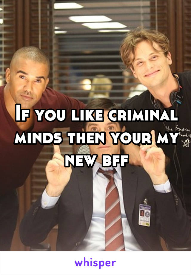 If you like criminal minds then your my new bff