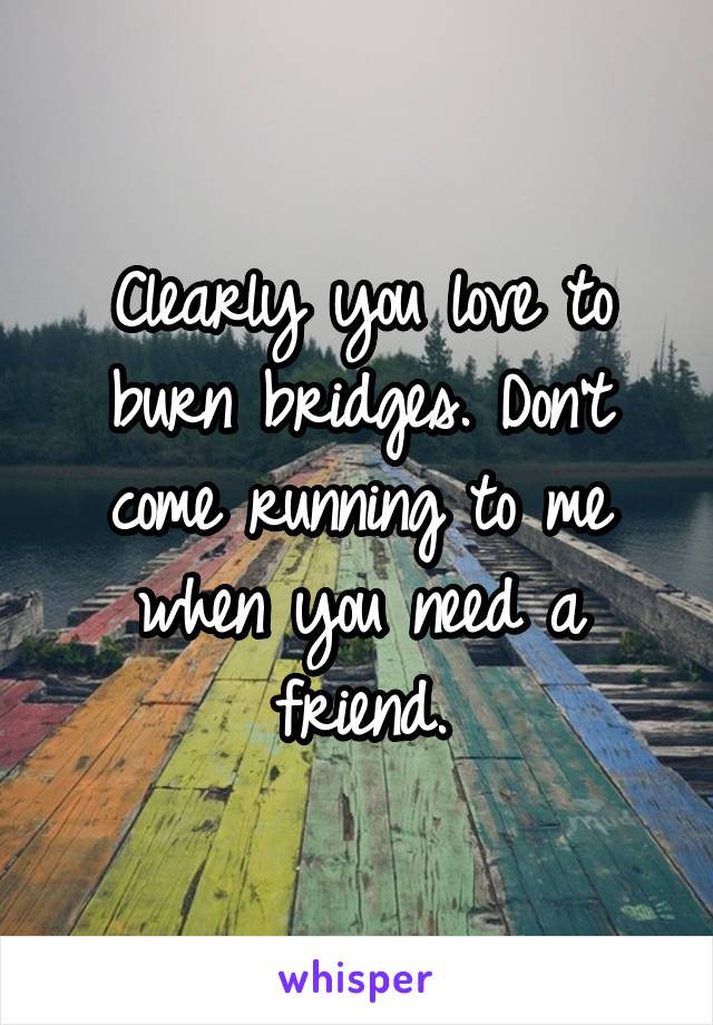 Clearly you love to burn bridges. Don't come running to me when you need a friend.