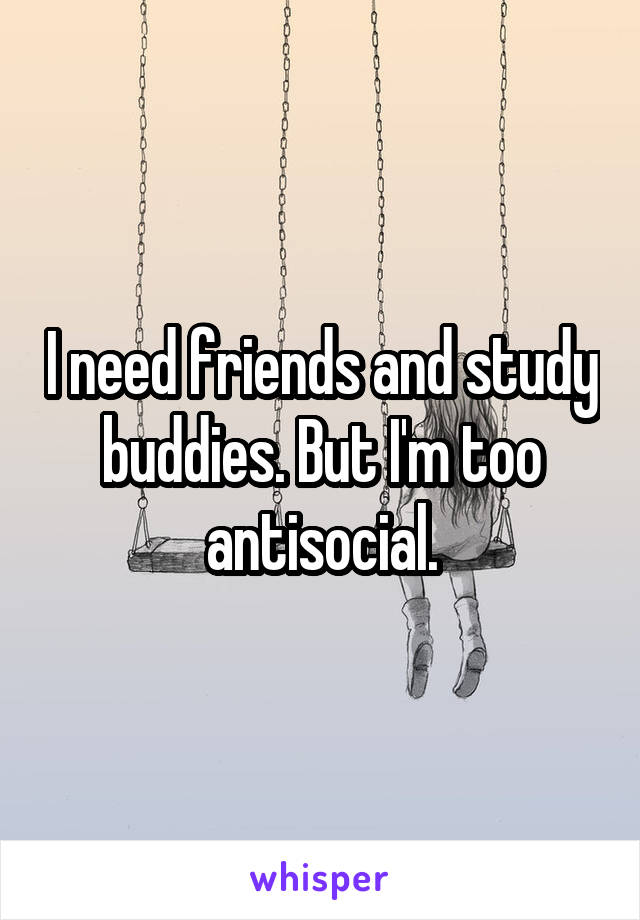 I need friends and study buddies. But I'm too antisocial.