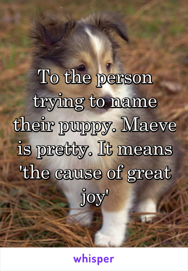 To the person trying to name their puppy. Maeve is pretty. It means 'the cause of great joy'