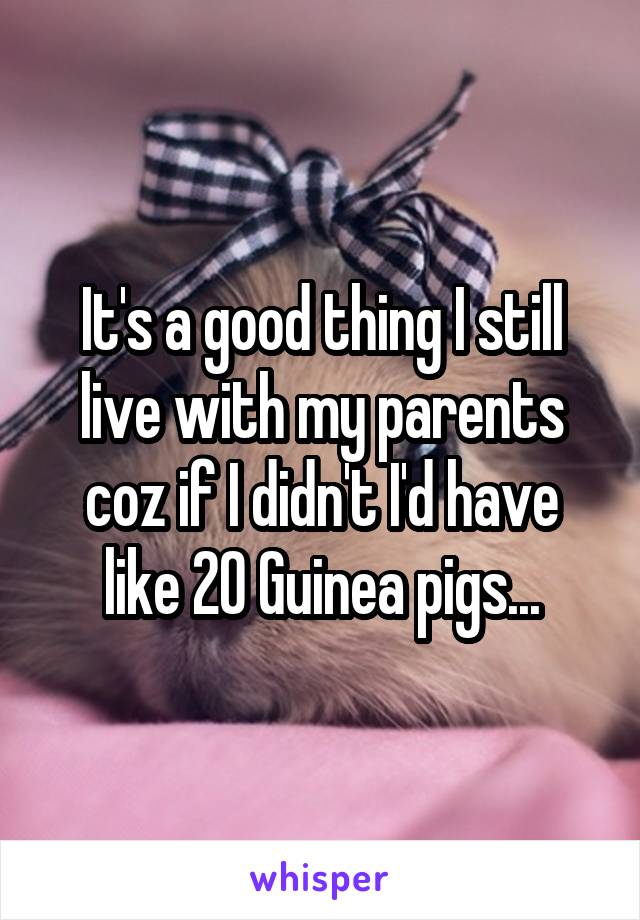 It's a good thing I still live with my parents coz if I didn't I'd have like 20 Guinea pigs...