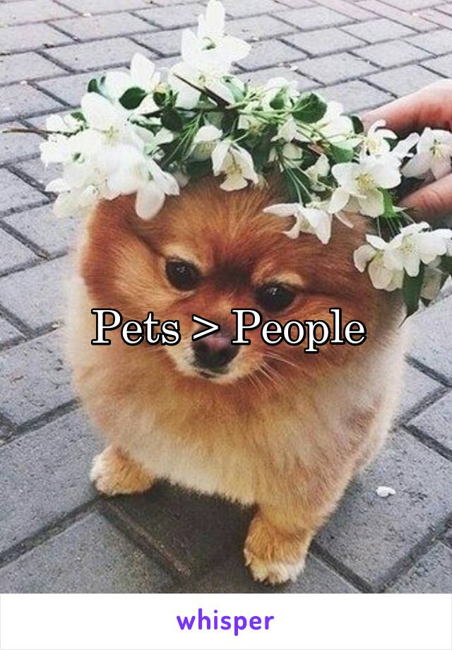 Pets > People