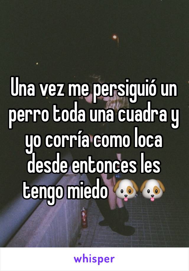 Una vez me persiguió un perro toda una cuadra y yo corría como loca desde entonces les tengo miedo 🐶🐶