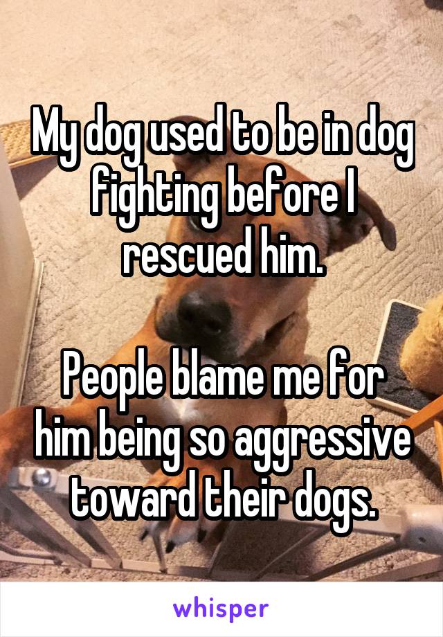 My dog used to be in dog fighting before I rescued him.

People blame me for him being so aggressive toward their dogs.