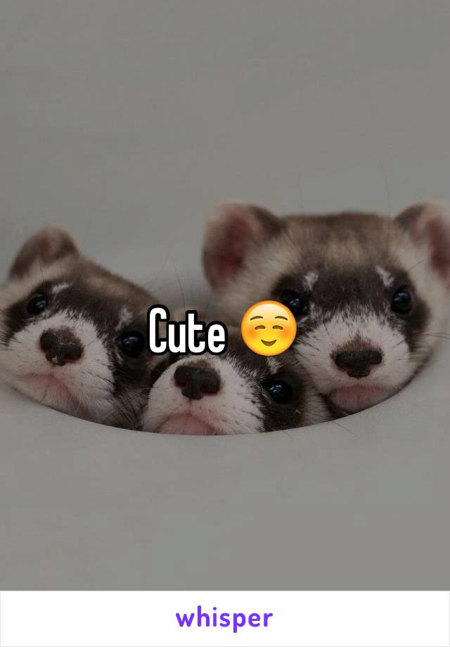 Cute ☺️