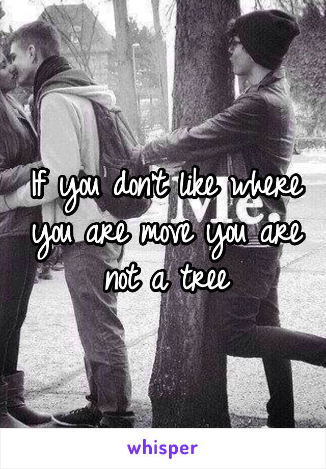 If you don't like where you are move you are not a tree