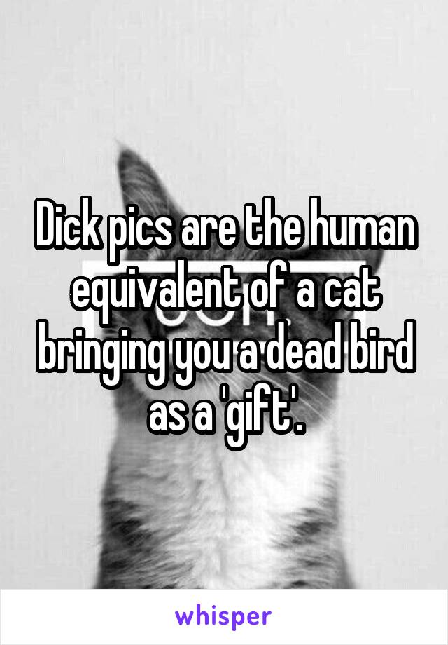 Dick pics are the human equivalent of a cat bringing you a dead bird as a 'gift'.