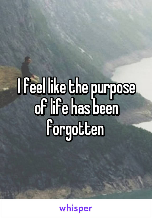 I feel like the purpose of life has been forgotten 