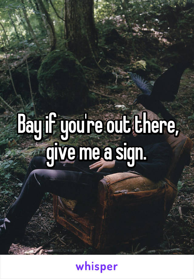 Bay if you're out there, give me a sign. 