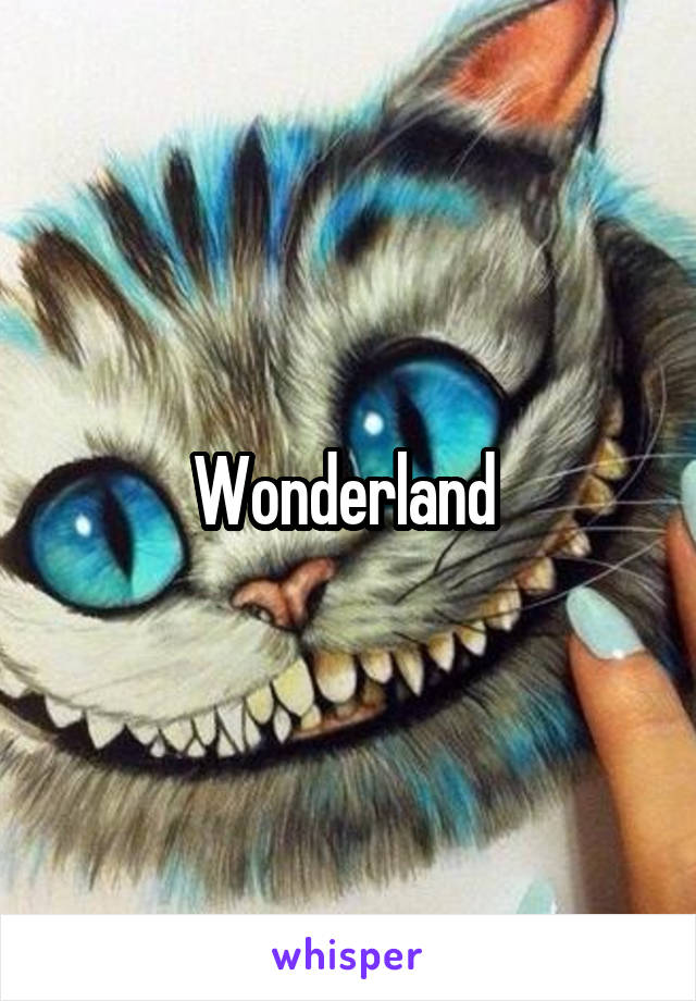 Wonderland 