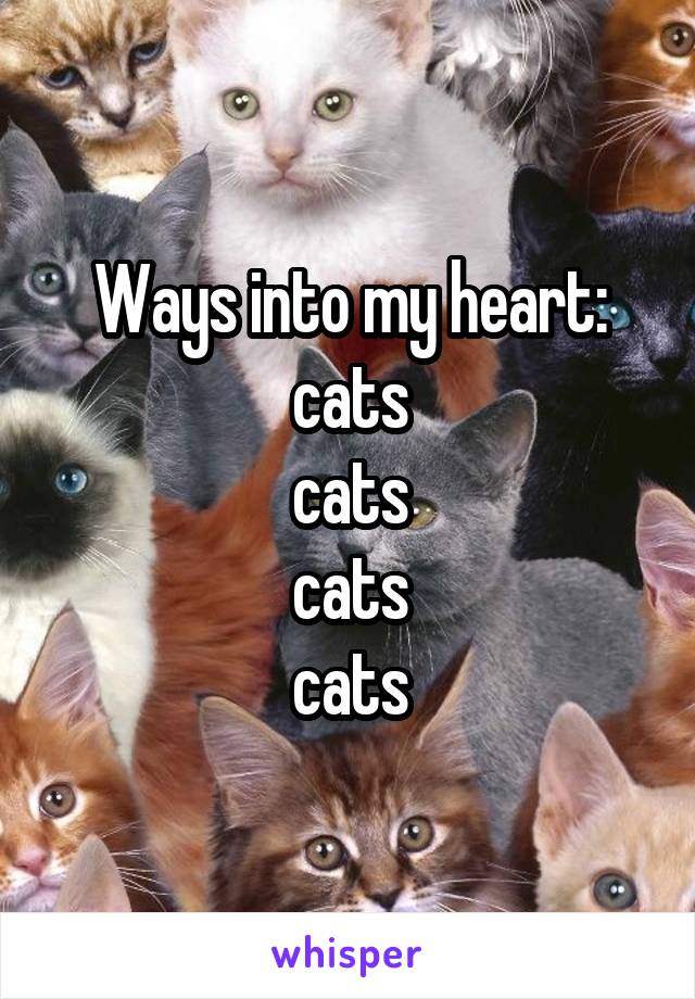 Ways into my heart:
cats
cats
cats
cats