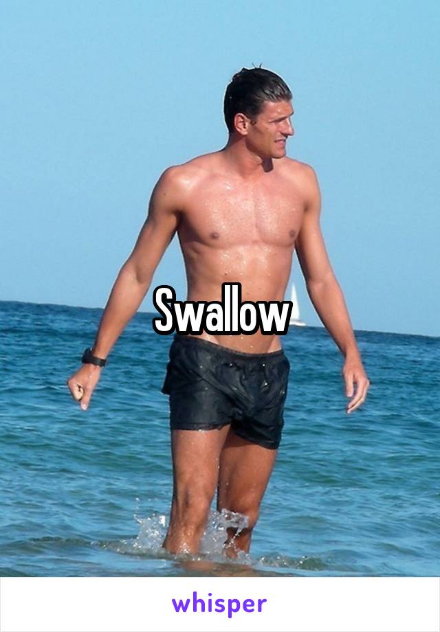 Swallow