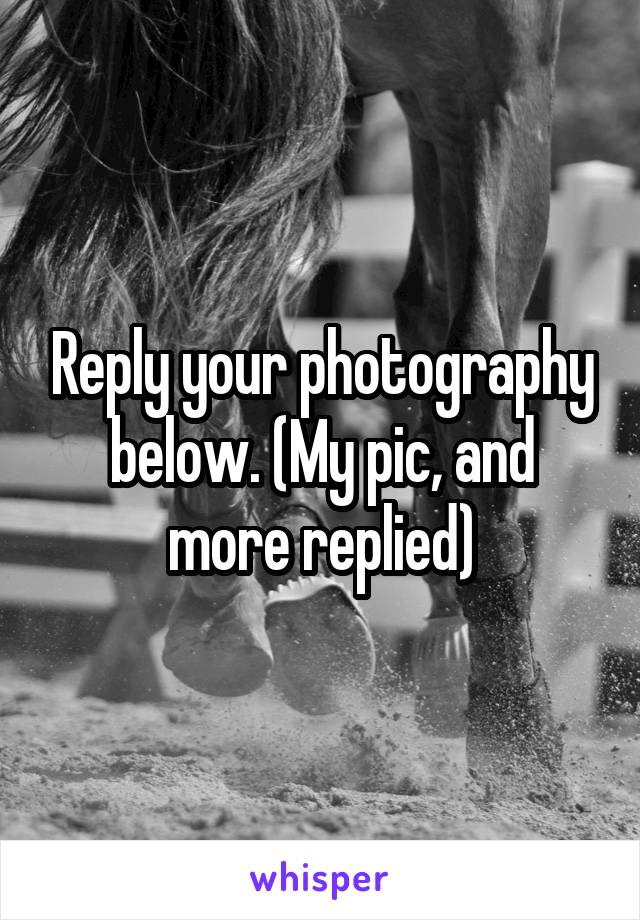 Reply your photography below. (My pic, and more replied)