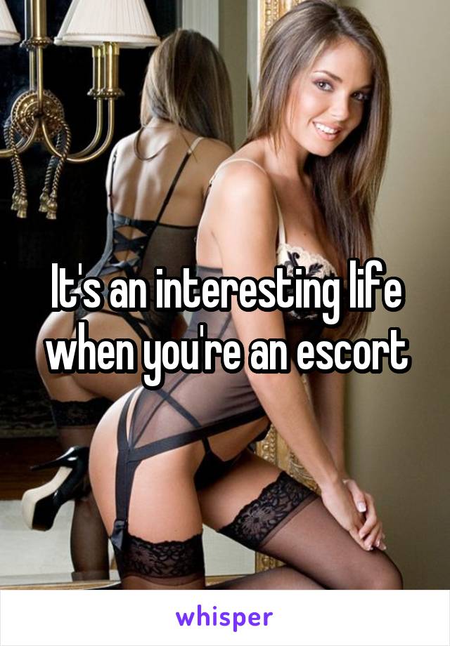 It's an interesting life when you're an escort