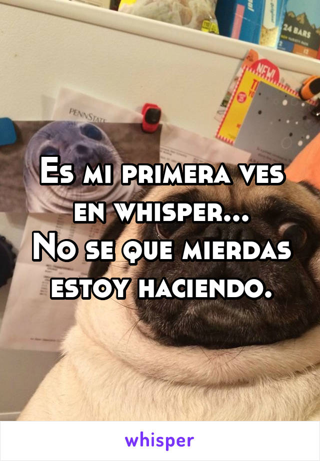 Es mi primera ves en whisper...
No se que mierdas estoy haciendo.