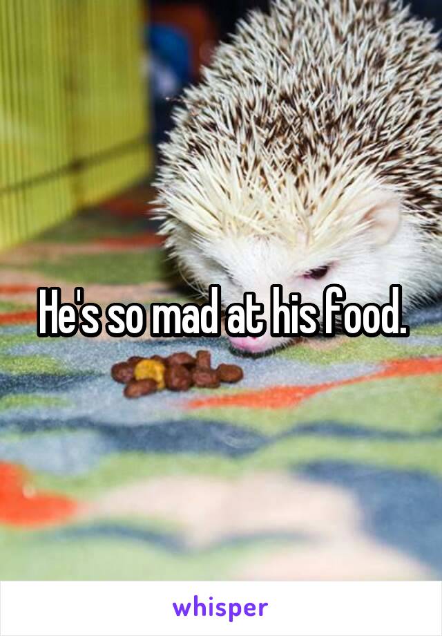 He's so mad at his food.