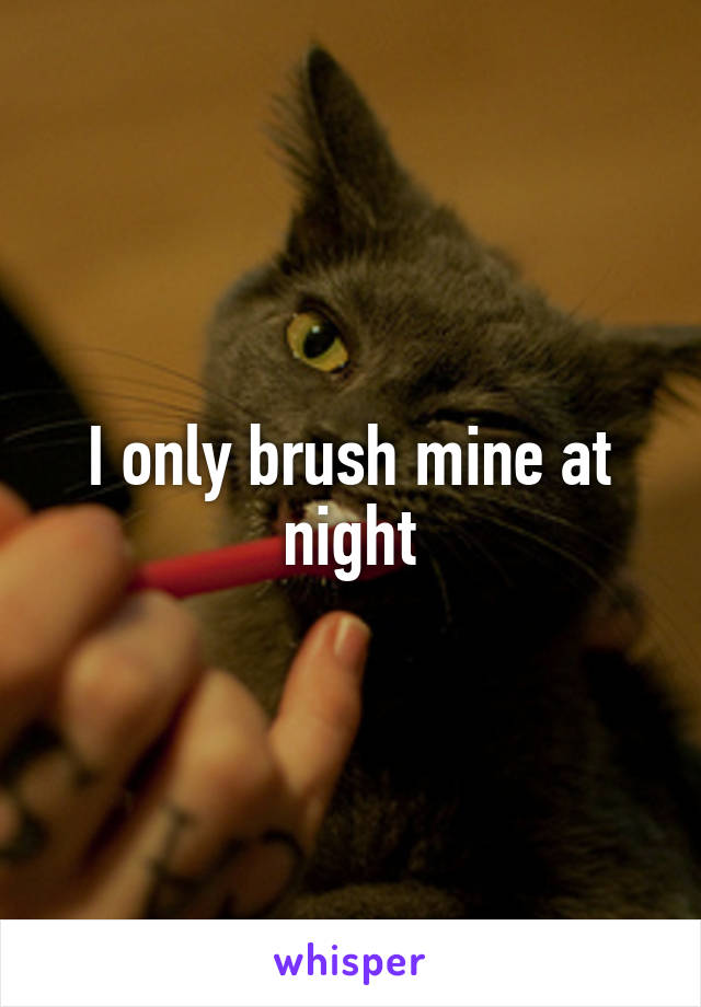 I only brush mine at night