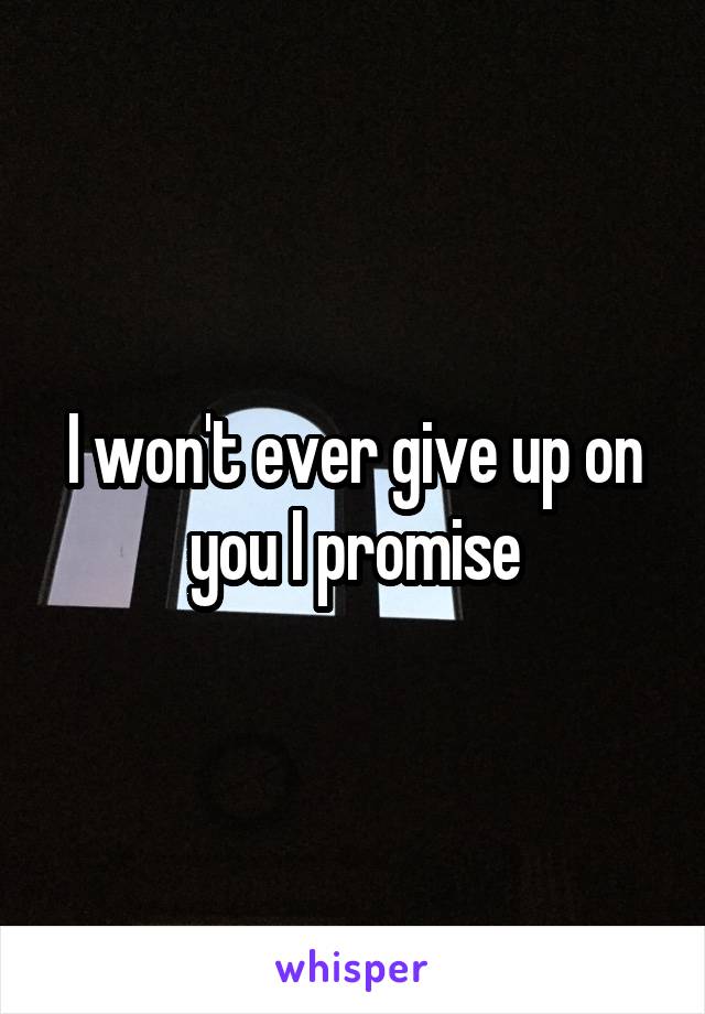 I won't ever give up on you I promise