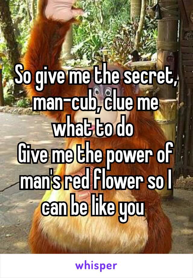 So give me the secret, man-cub, clue me what to do 
Give me the power of man's red flower so I can be like you 