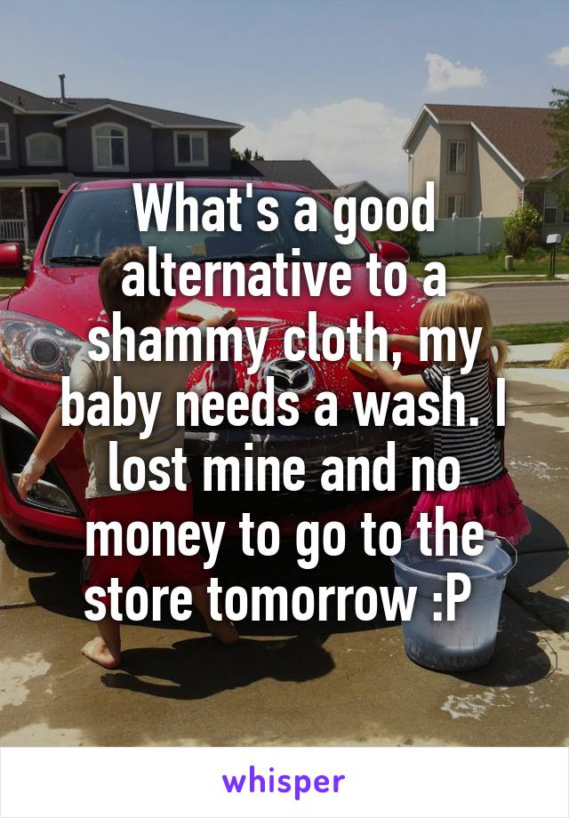 What's a good alternative to a shammy cloth, my baby needs a wash. I lost mine and no money to go to the store tomorrow :P 