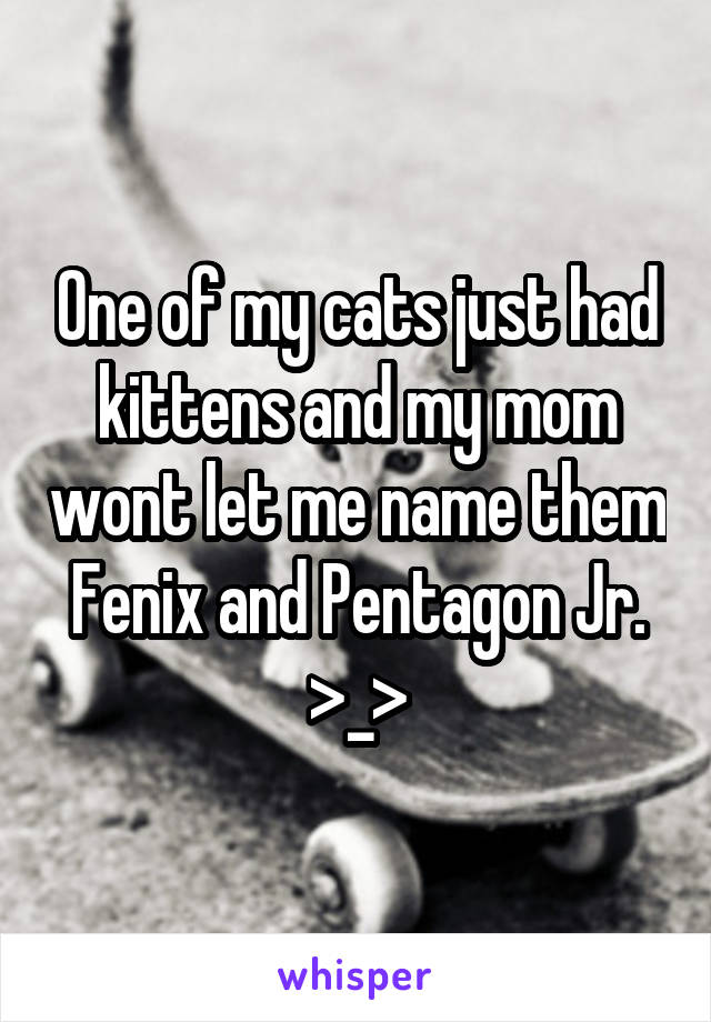 One of my cats just had kittens and my mom wont let me name them Fenix and Pentagon Jr. >_>