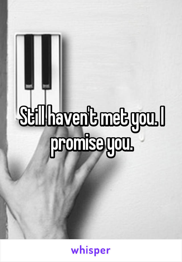 Still haven't met you. I promise you.