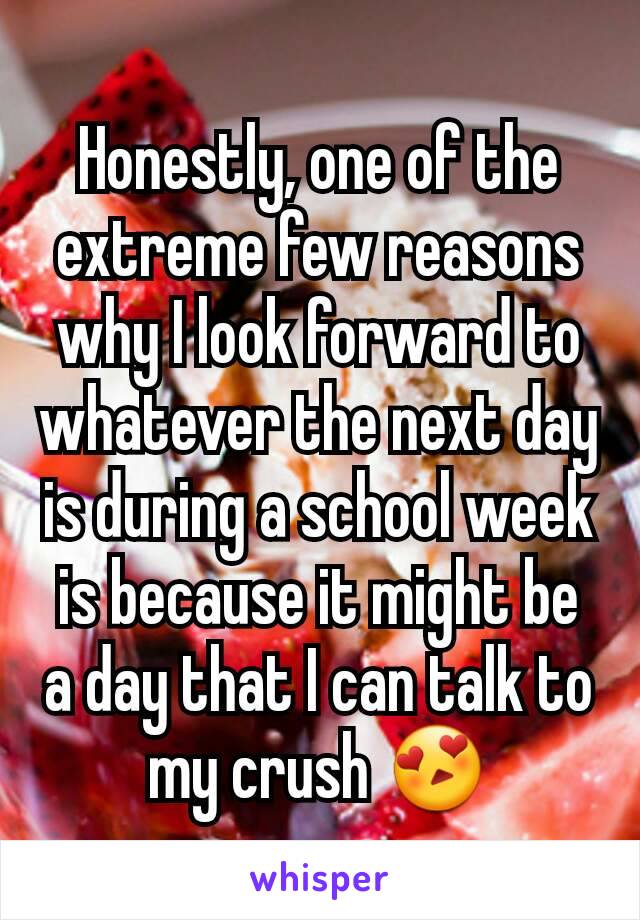 Honestly, one of the extreme few reasons why I look forward to whatever the next day is during a school week is because it might be a day that I can talk to my crush 😍